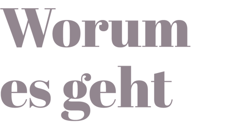 Worum es geht
